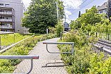Sanierung Haltestelle Bremgarten Isenlauf