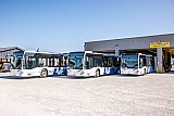 Neue Busflotte für den AVA-Expressbus