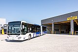 Neue Busflotte für den AVA-Expressbus