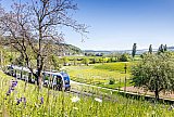 Wynental- und Suhrentalbahn